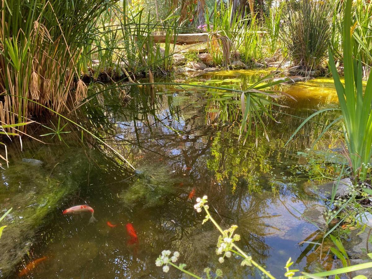 הוילה ברבטה El Canto De Las Ranas מראה חיצוני תמונה
